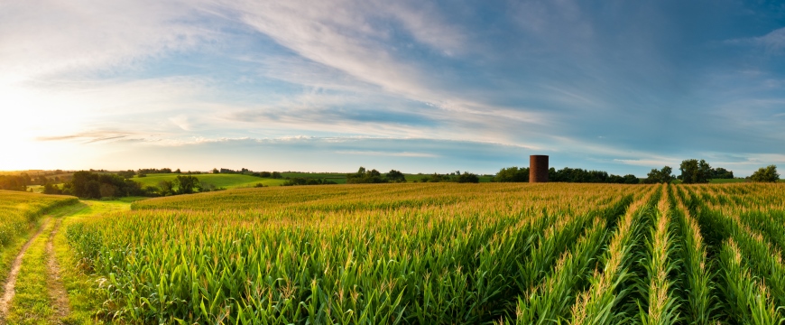 Agriculture Loans